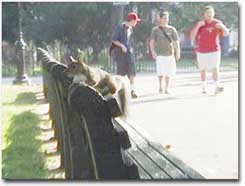 バッテリーパーク